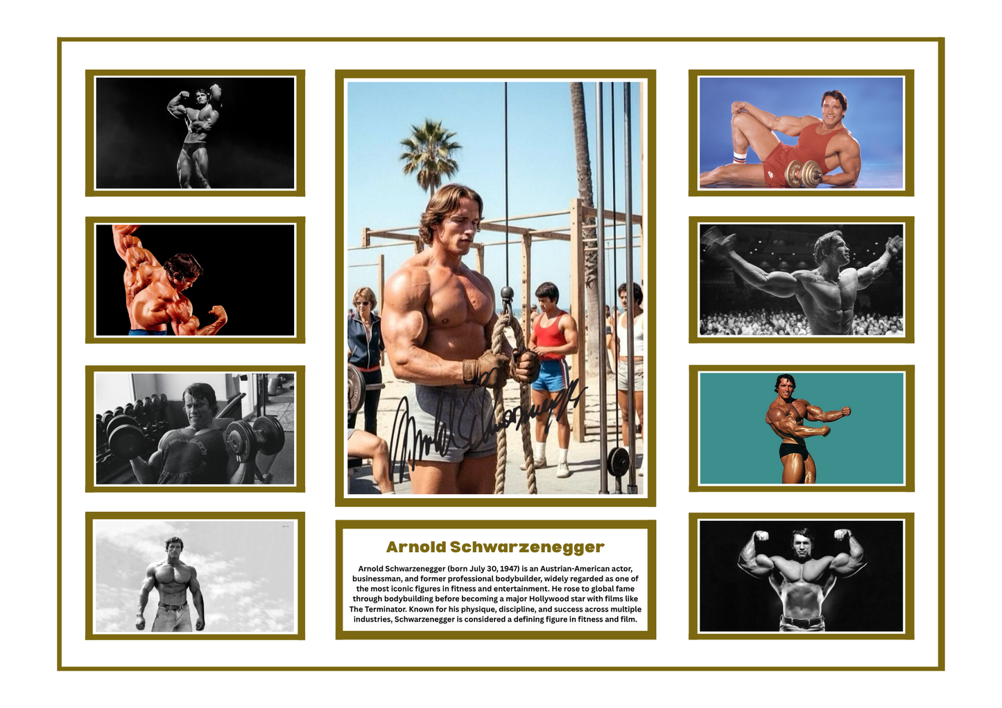 ARNOLD SCHWARZENEGGER SIGNED FRAMED LIMITED EDITION MEMORABILIA