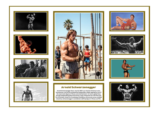 ARNOLD SCHWARZENEGGER SIGNED FRAMED LIMITED EDITION MEMORABILIA