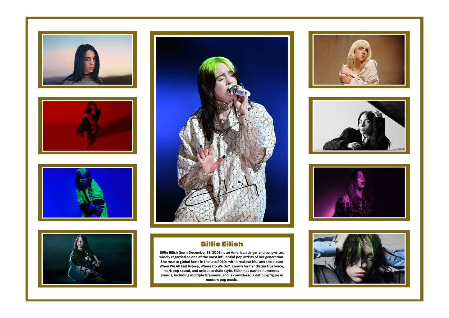 BILLIE EILISH SIGNED FRAMED LIMITED EDITION MEMORABILIA