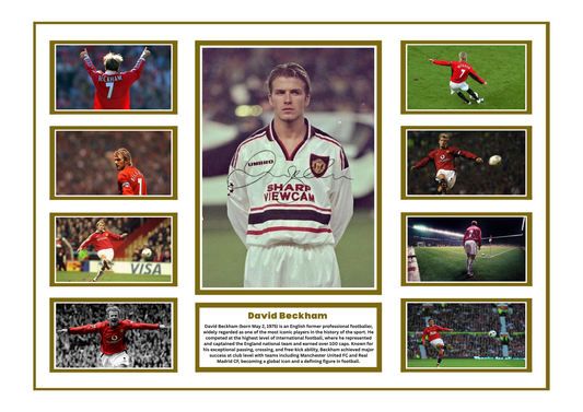 DAVID BECKHAM SIGNED FRAMED LIMITED EDITION MEMORABILIA