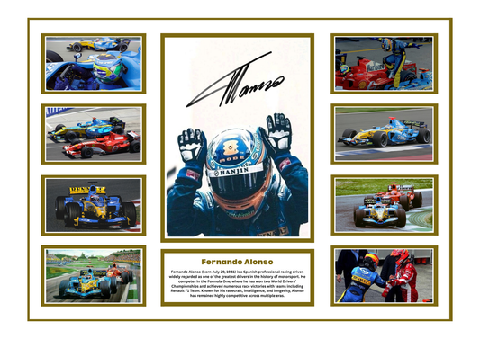 FERNANDO ALONSO SIGNED FRAMED LIMITED EDITION MEMORABILIA