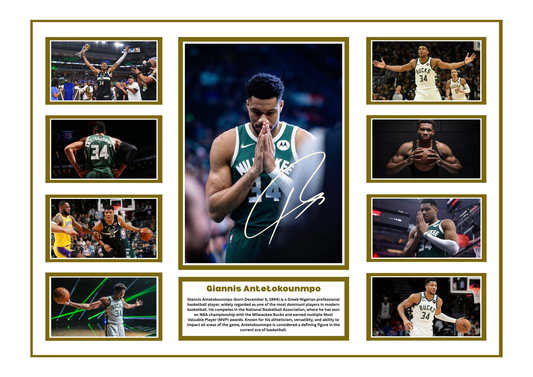 GIANNIS ANTETOKOUNMPO SIGNED FRAMED LIMITED EDITION MEMORABILIA