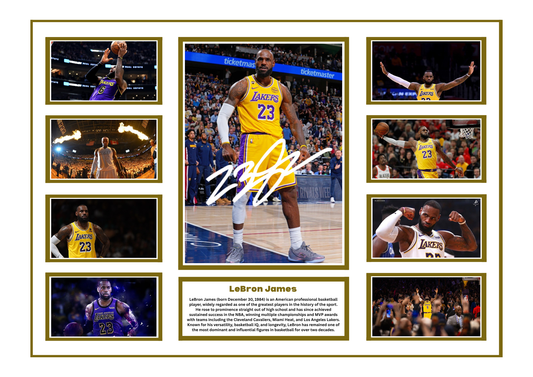 LEBRON JAMES SIGNED FRAMED LIMITED EDITION MEMORABILIA
